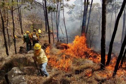 Va Gobierno estatal por aumentar penas por incendios forestales, anuncia Carlos Herrera